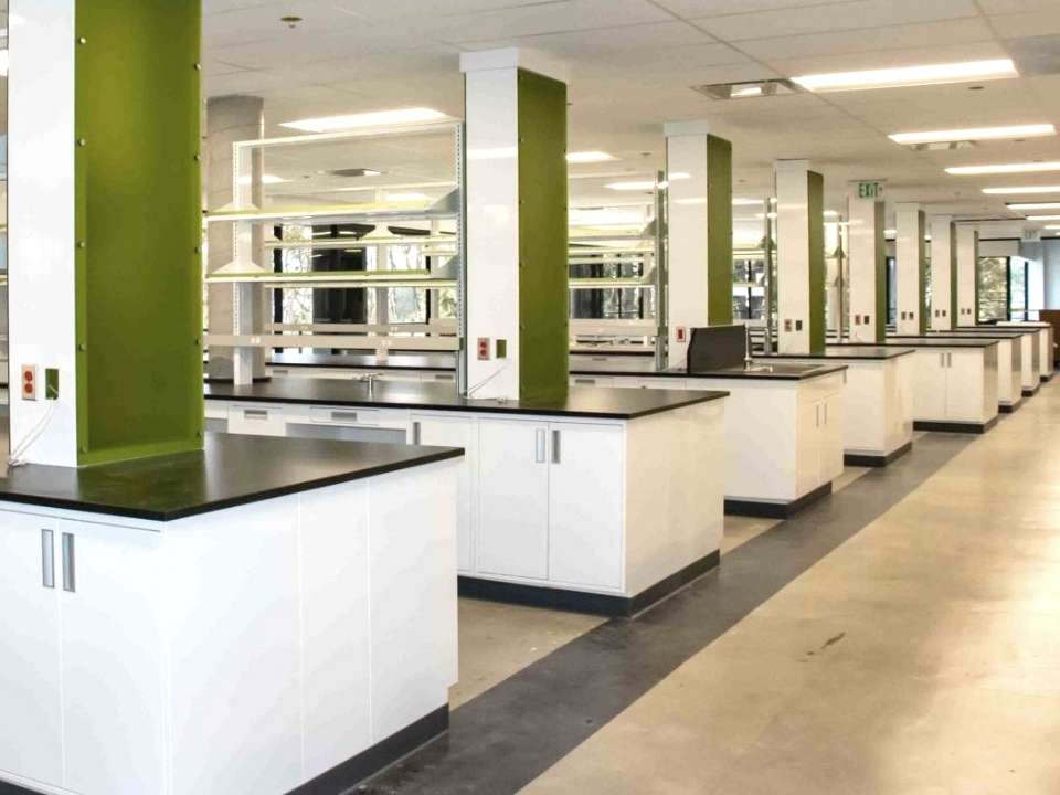 custom lab casework