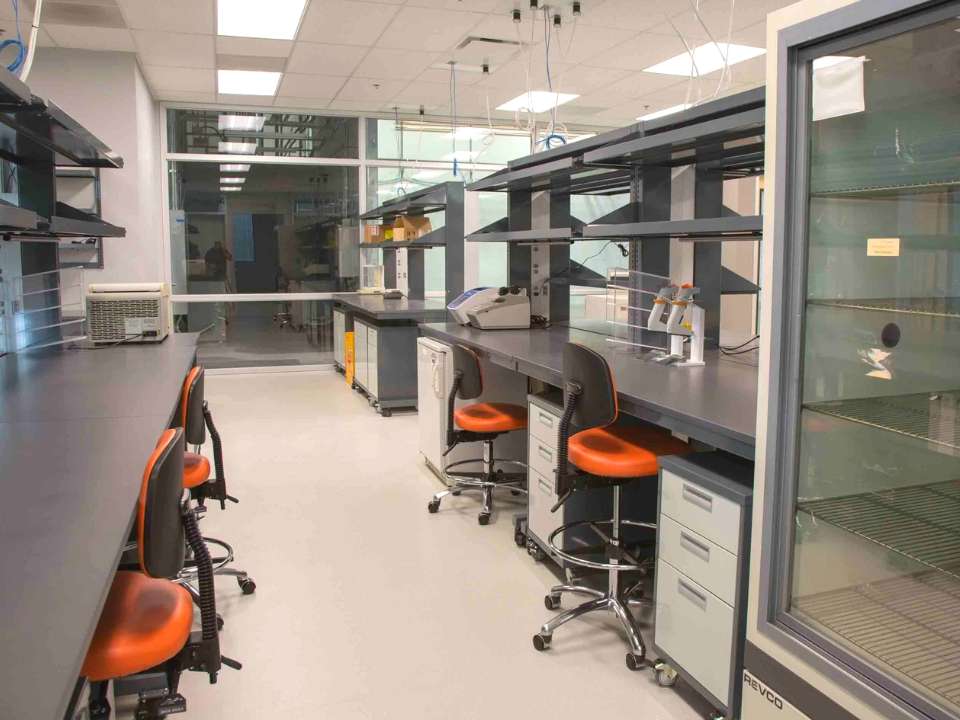 customized lab furniture
