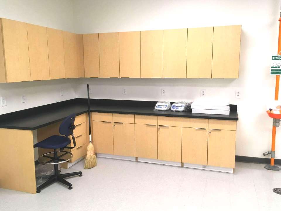 wood laboratory casework