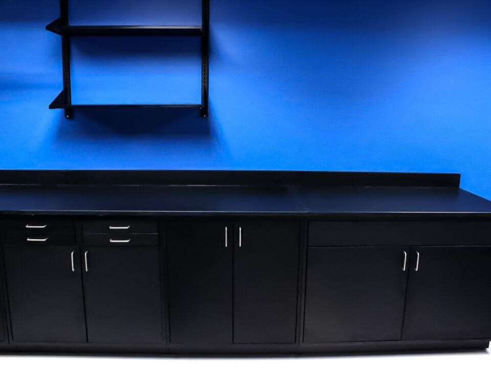 black lab furniture