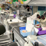 198 - Metal Casework, Lab Tables, Modular Lab Islands, Reagent Shelving