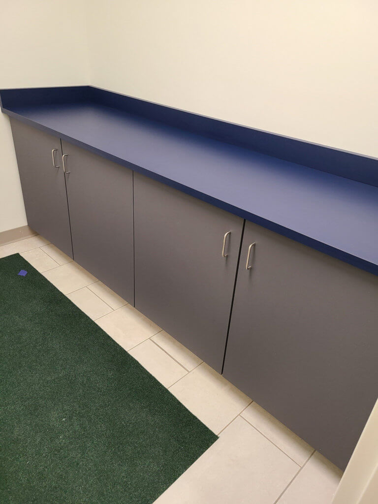 Plastic Laminate Cabinets