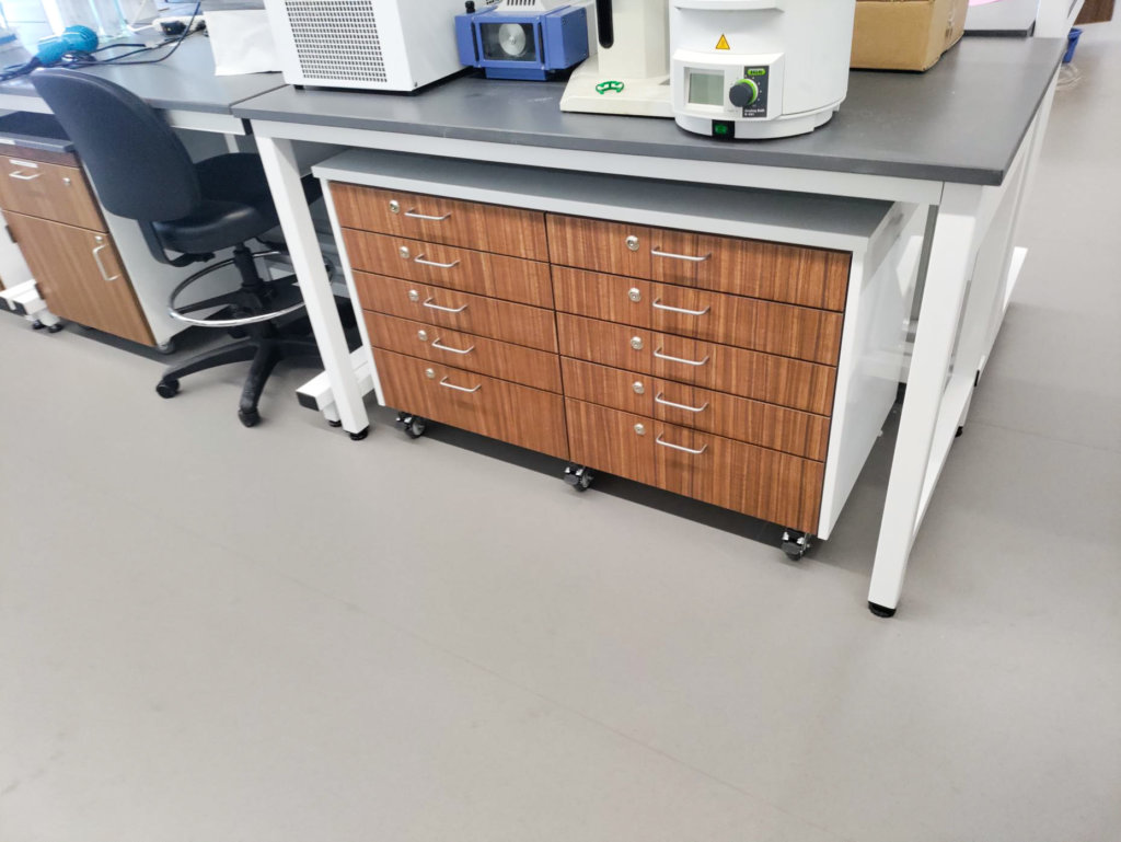 Mobile Laboratory Cabinets with Faux Fronts | OnePointe Solutions