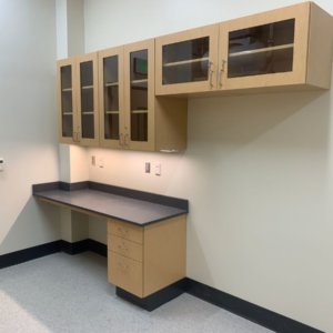 Boise State University (laminate cabinets) optimized