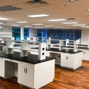 Bayport Cosmetic Lab phenolic resin Optimized