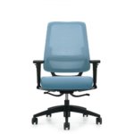 Sora Fully Adjustable Ergonomic Task Chair