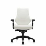 Spree Contemporary Ergonomic mesh task chair