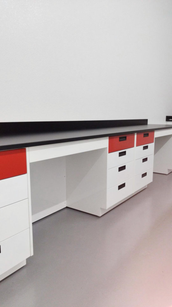 custom lab cabinets