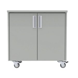 2 Door Mobile Cabinet