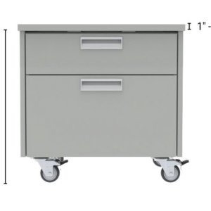 2 Drawer Mobile Cabinet (23 in)