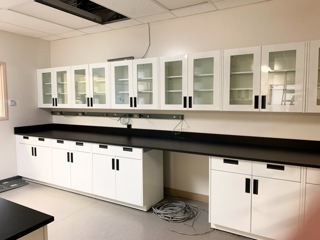 laboratory cabinets