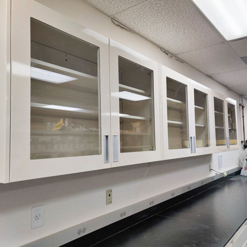 laboratory cabinets