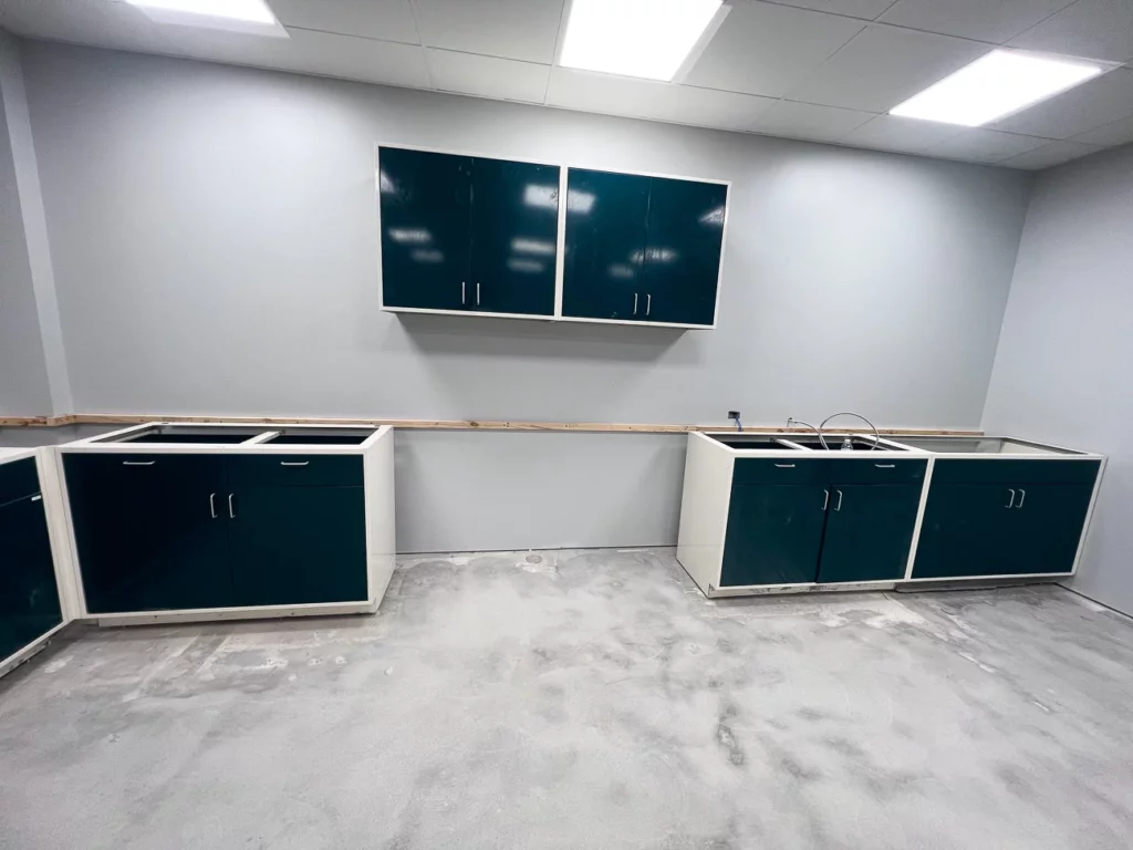 custom lab casework