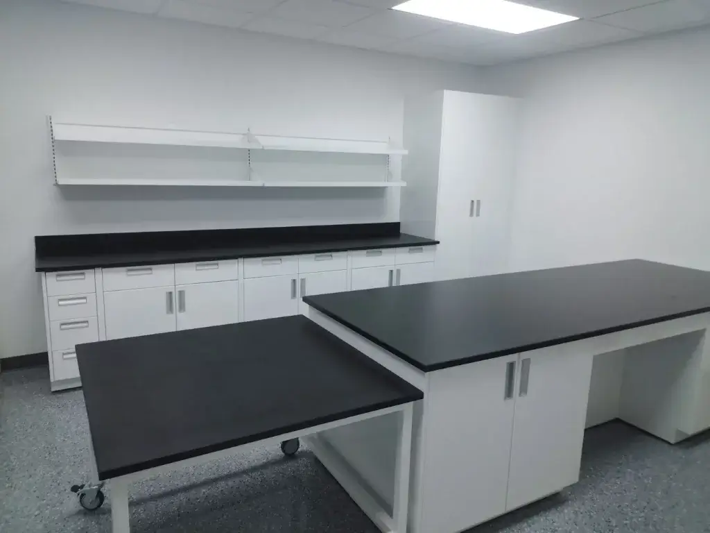 White laboratory casework with black epoxy countertops.