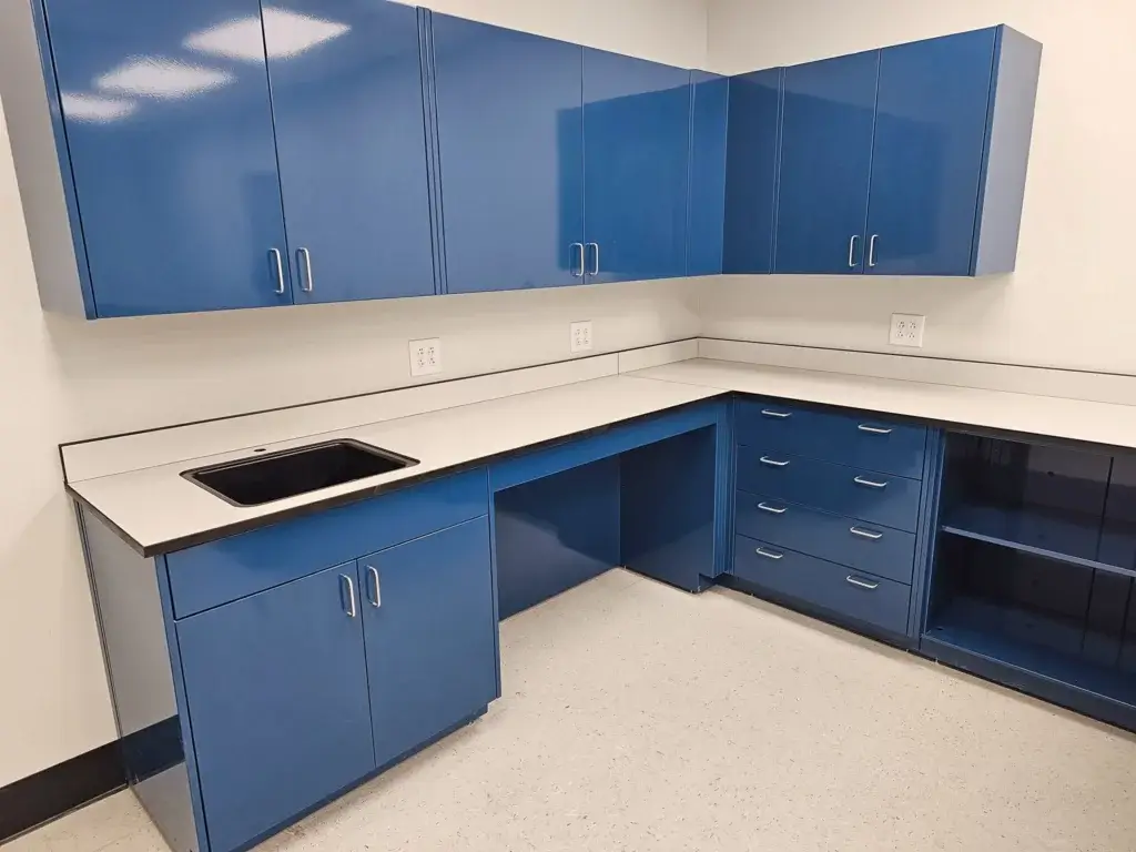 Steel laboratory cabinets with phenolic resin countertop.