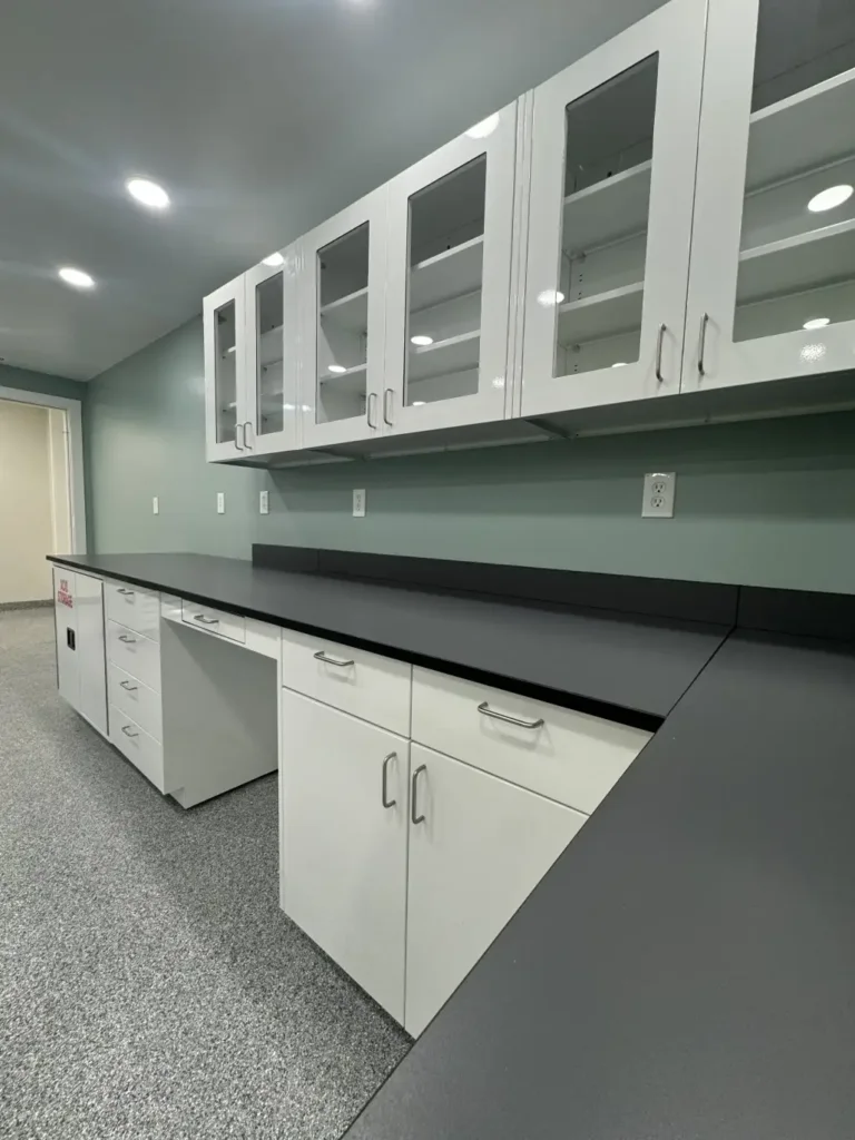 Metal Base and Wall Lab Cabinets | Laboratory Storage Cabinets with Laboratory Countertops | OnePointe Solutions