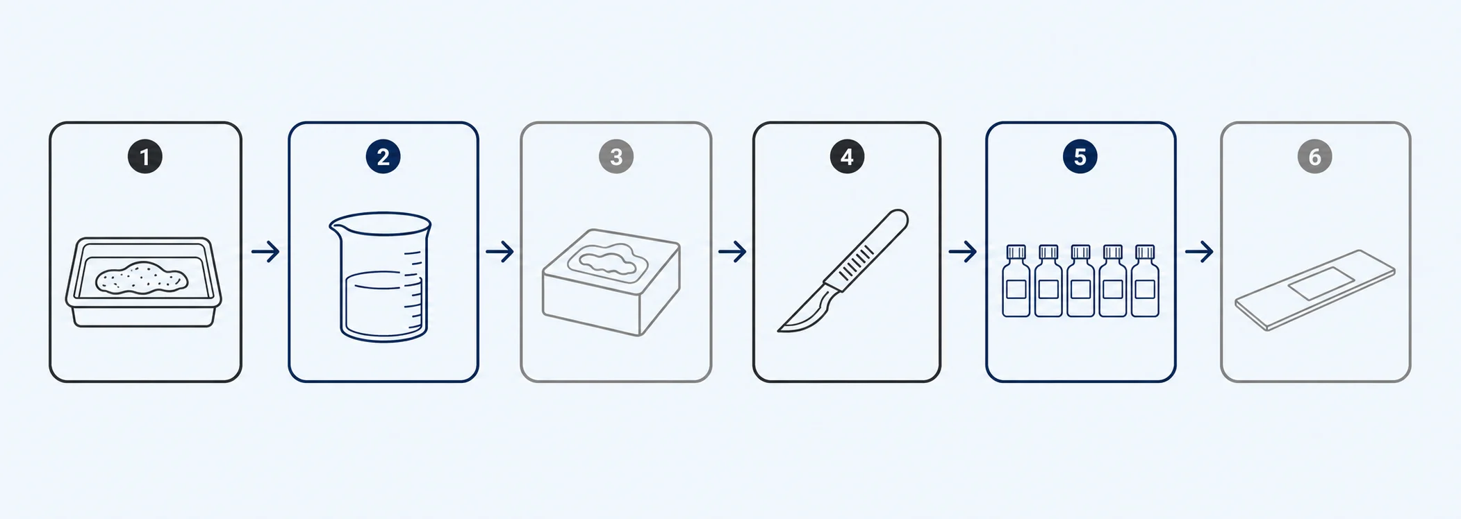 Histology lab design tissue processing workflow diagram showing grossing, processing, embedding, microtomy, staining, and coverslipping stations in sequence