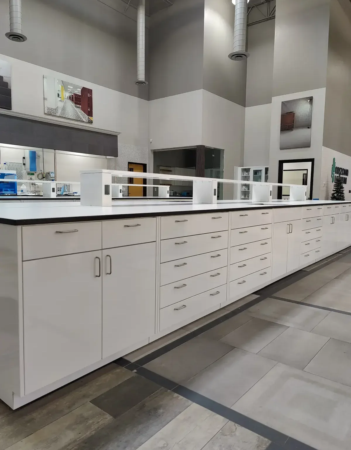 Powder Coated Metal Lab cabinets in mineral exploration lab - OnePOinte Solutions