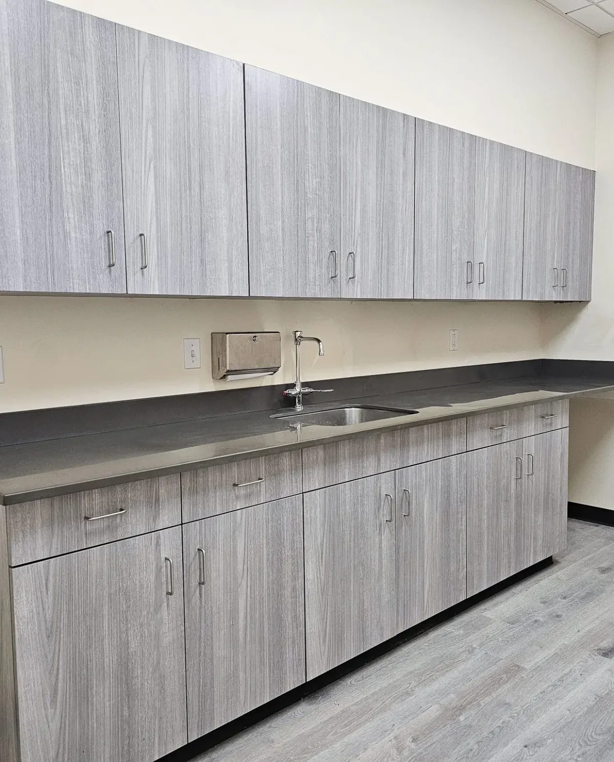 Fox Teakwood Plastci Laminate Cabinets | Veterinary Casework | OnePointe Solutions